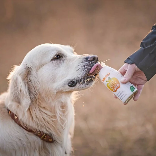 Immunerősítő smoothie kutyáknak (marhahússal) 250 ml, SmoothieDog