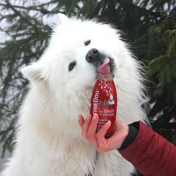 Marhahús smoothie menü kutyáknak 250 ml, SmoothieDog