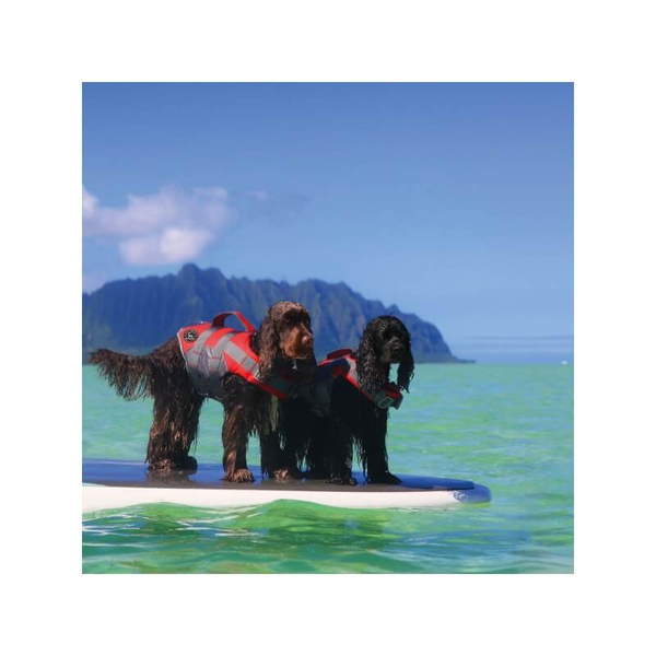 Úszómellény Moss kutyáknak