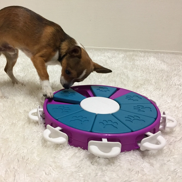 Dog Twister interaktív csemege kirakós kutyajáték, 3-as szint, Nina Ottosson