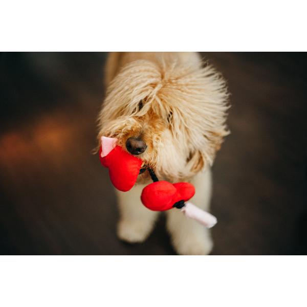 Rózsacsokor plüss játék, Puppy Love, PLAY