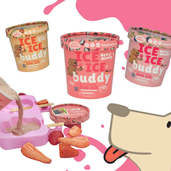 Ice Buddy szilikon mancsforma + kutyafagyi kókusszal és eperrel, Begbuddy