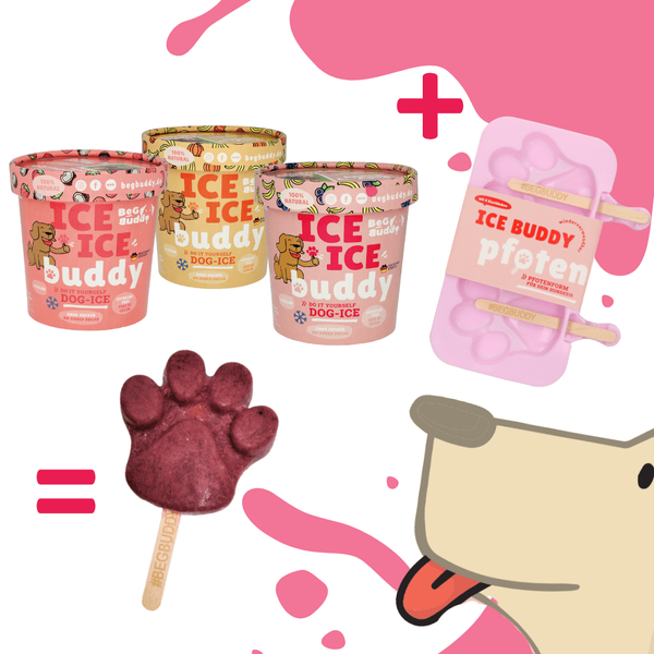 Ice Buddy szilikon mancsforma + kutyafagyi kókusszal és eperrel, Begbuddy