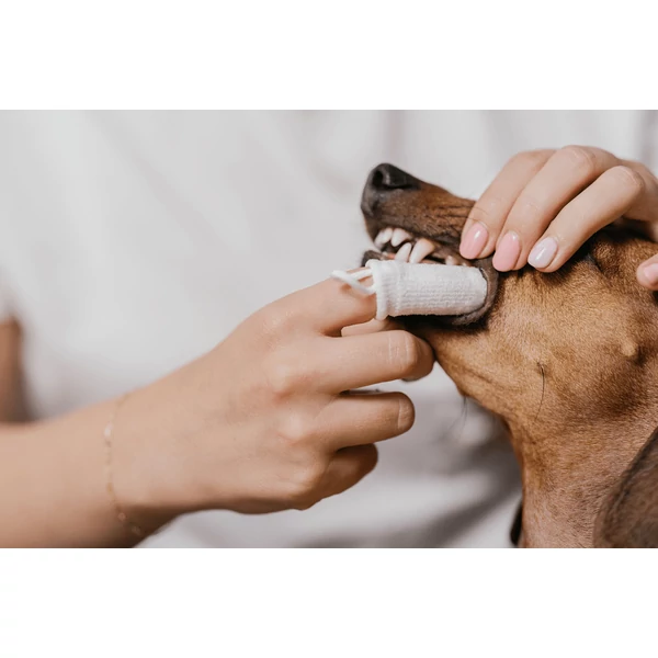 Ujjrahúzható ezüstionos fogkefe kutyáknak és macskáknak, Fürree