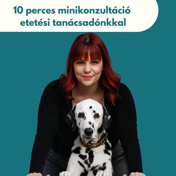 10 perces konzultáció