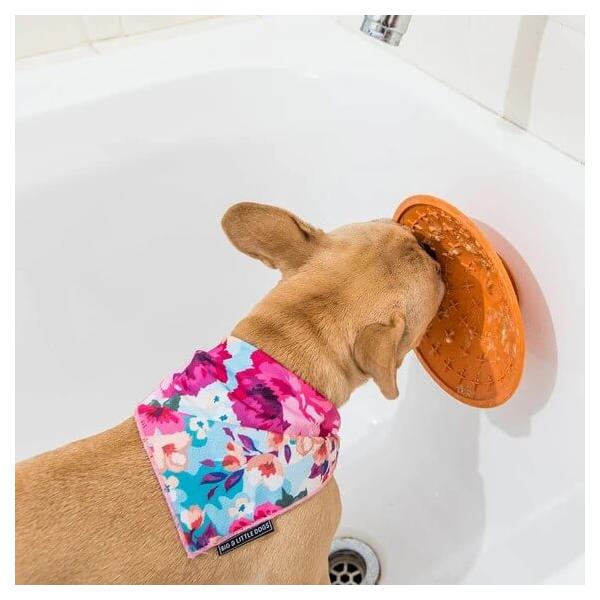 LickiMat Splash, Kék