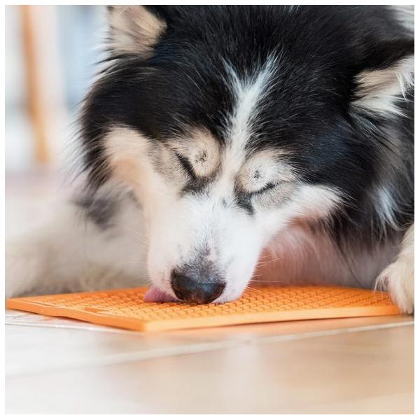 LickiMat Classic Buddy Large, Zöld