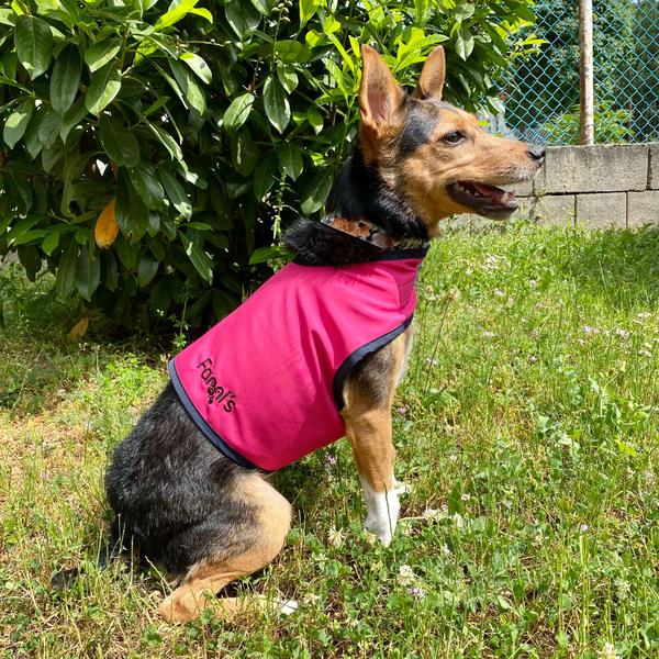 Hűtőmellény pink 4XL, Fanni's Barfshop